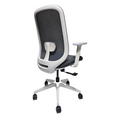S2 Chair