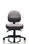 Project Chair