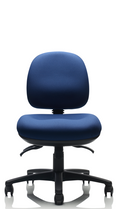 Project Chair