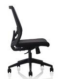 Storm Chair