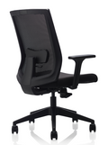 Storm Chair